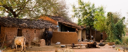 Pahuj typical village house